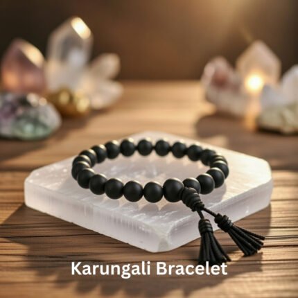 Eames plastic side chair