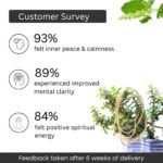 Concentration & Focus Bracelet (Tiger Eye) - Image 5