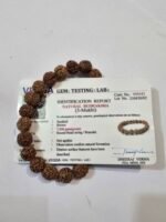 5 Mukhi Rudraksha Mala - Image 3
