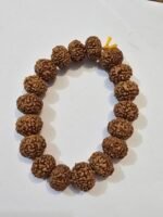 7 Mukhi Rudraksha Bracelet - Image 3