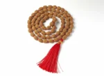 2 Mukhi Rudraksha Mala - Image 3