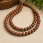 10 Mukhi Rudraksha Mala