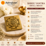 Shree Yantra Brass (Small) - Image 4