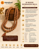 10 Mukhi Rudraksha Mala - Image 3