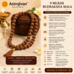 9 Mukhi Rudraksha Mala - Image 4