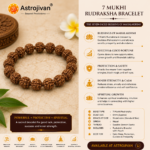 7 Mukhi Rudraksha Bracelet - Image 5