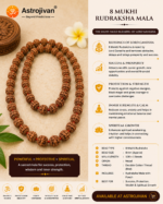 8 Mukhi Rudraksha Mala - Image 4