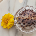 Natural Rock Crystal Bracelet (10mm)